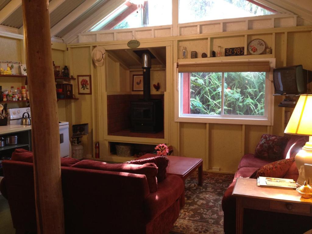 Carson'S Kaloko Mountain Cabin 카일루아 코나 객실 사진
