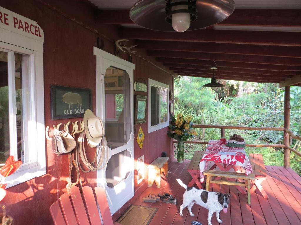 Carson'S Kaloko Mountain Cabin 카일루아 코나 객실 사진